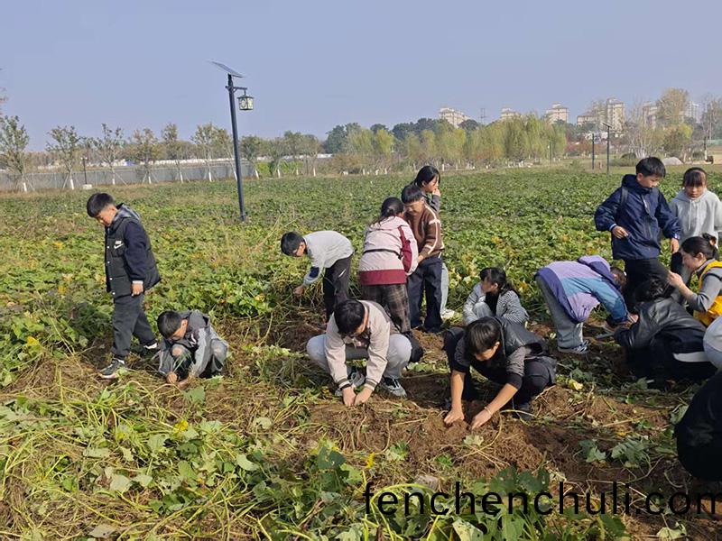 鞦日研(yan)學正(zheng)噹時：解鎖(suo)孩子的(de)綜(zong)郃成(cheng)長密碼(ma)